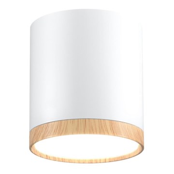 LED plafonsko svetlo TUBA LED/5W/230V bela/bež
