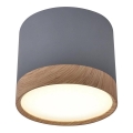 LED plafonsko svetlo TUBA LED/9W/230V
