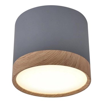LED plafonsko svetlo TUBA LED/9W/230V