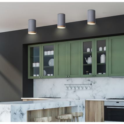 LED plafonsko svetlo TUBA LED/9W/230V