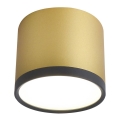 LED plafonsko svetlo TUBA LED/9W/230V
