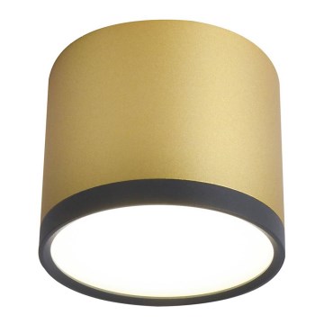 LED plafonsko svetlo TUBA LED/9W/230V