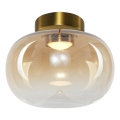 LED plafonsko svetlo VASO LED/4W/230V prečnik 18 cm zlatno/zadimljeno