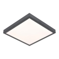 LED plafonsko svetlo VITALI LED/24W/230V