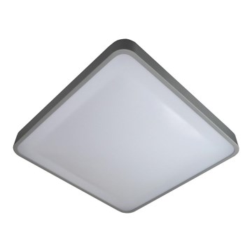 LED plafonsko svetlo WILTON LED/24W/230V 37,5x37,5 cm sivo