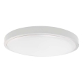 LED plafonsko svetlo za kupatilo, 36W, 230V, 3000K, IP44, prečnik 35 cm, bela