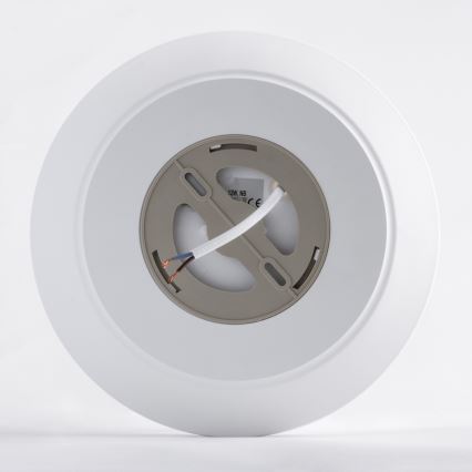 LED plafonsko svetlo za kupatilo AVESTA LED/12W/230V 4000K IP54
