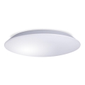LED plafonsko svetlo za kupatilo AVESTA LED/18W/230V 4000K IP54