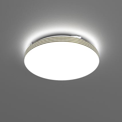 LED plafonsko svetlo za kupatilo BEVER LED/10W/230V 4000K prečnik 26 cm IP44