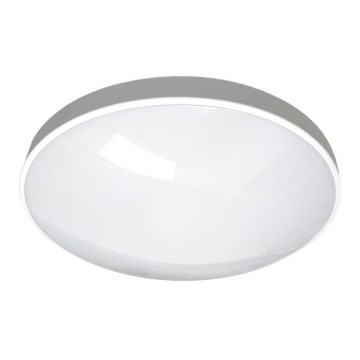 LED plafonsko svetlo za kupatilo CIRCLE LED/12W/230V 4000K Ø 25 cm IP44 belo