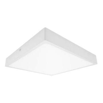 LED plafonsko svetlo za kupatilo EGON LED/16W/230V IP44 4000K