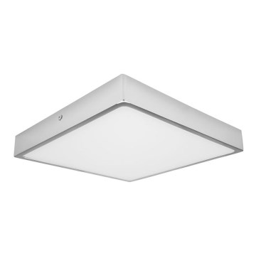 LED plafonsko svetlo za kupatilo EGON LED/30W/230V IP44 3000K