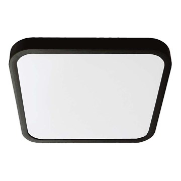 LED plafonsko svetlo za kupatilo LED/18W/230V 4000K IP44 25x25 cm crno