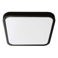LED plafonsko svetlo za kupatilo LED/18W/230V 6500K IP44 25x25 cm crna