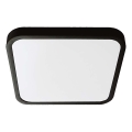LED plafonsko svetlo za kupatilo LED/24W/230V 3000K IP44 29,5x29,5 cm crna