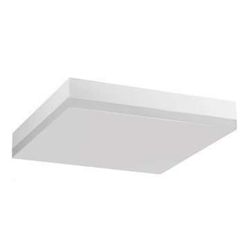 LED plafonsko svetlo za kupatilo LED/24W/230V 4000K 28 cm IP44