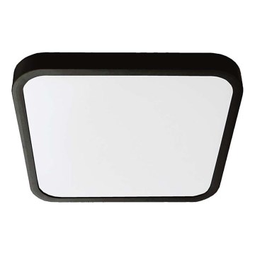 LED plafonsko svetlo za kupatilo LED/24W/230V 6500K IP44 29,5x29,5 cm crno