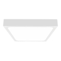 LED plafonsko svetlo za kupatilo LED/30W/230V 6500K IP44 42x42 cm belo