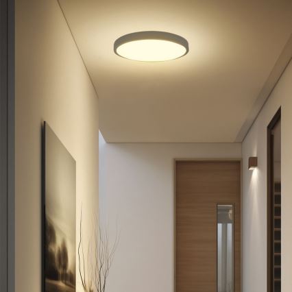 LED stropno svetlo za kupatilo SAMSUNG čip LED/36W/230V IP44 3000K prečnika 35 cm crna