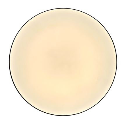 LED plafonsko svetlo za kupatilo MOON LED/18W/230V sjajni hrom IP44