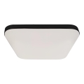 LED plafonsko svetlo za kupatilo NEMO LED/17W/230V IP44 crno