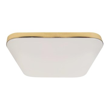 LED plafonsko svetlo za kupatilo NEMO LED/17W/230V IP44 zlatno