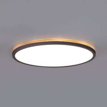 LED plafonsko svetlo za kupatilo NIVERA LED/24W/230V IP54 3000/4000/6000K prečnika 30 cm crno