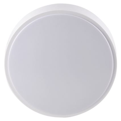 LED plafonsko svetlo za kupatilo RENE LED/15W/230V IP44 belo