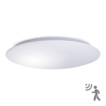 LED plafonsko svetlo za kupatilo sa senzorom AVESTA LED/18W/230V 4000K IP54