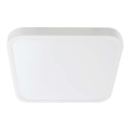LED plafonsko svetlo za kupatilo SAMSUNG CHIP LED/18W/230V IP44 6500K 25x25 cm belo