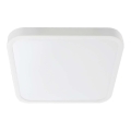 LED plafonsko svetlo za kupatilo SAMSUNG CHIP LED/48W/230V IP44 3000K 42x42 cm belo