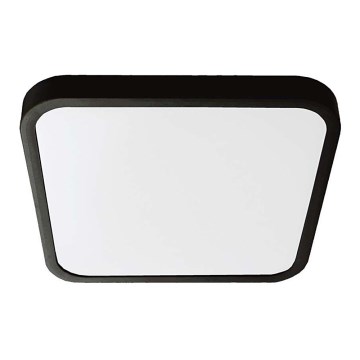 LED plafonsko svetlo za kupatilo SAMSUNG čip LED/18W/230V IP44 6500K 25x25 cm crna