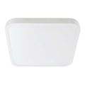 LED plafonsko svetlo za kupatilo SAMSUNG čip LED/24W/230V IP44 6500K 29x29 cm bela