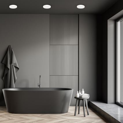 LED plafonsko svetlo za kupatilo VERA LED/18W/230V 4000K IP65 belo
