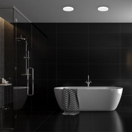 LED plafonsko svetlo za kupatilo VERA LED/24W/230V 4000K IP65 belo