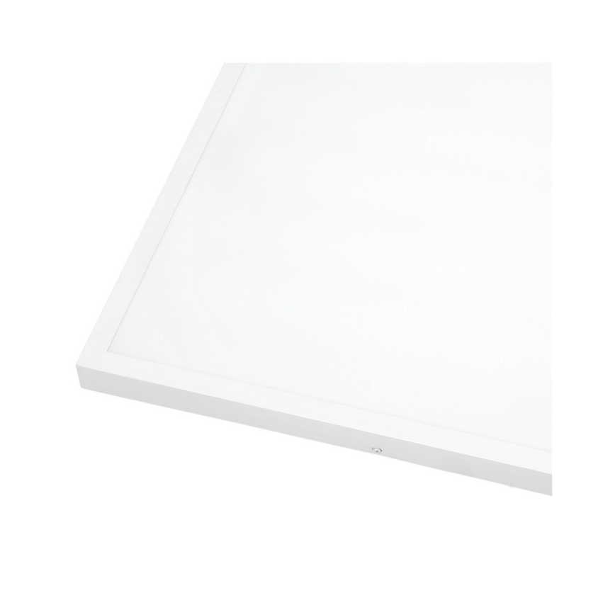 LED površinski panel BRISBANE LED/36W/230V 4000K 59,5x59,5 cm bela