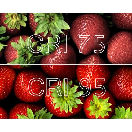 LED prigušiva antibakterijska sijalica PAR16 GU10/4,9W/230V Wi-Fi - Ledvance