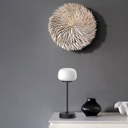 LED prigušiva dodirna stona lampa RIMINI LED/2W/5V USB 2000 mAh crna/bela
