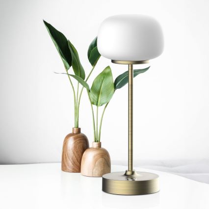 LED prigušiva dodirna stona lampa RIMINI LED/2W/5V USB 2000 mAh zlatna/bela