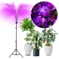 LED prigušiva fleksibilna stojeća lampa za uzgoj biljaka VITARO 4xLED/7,5W/230V crna