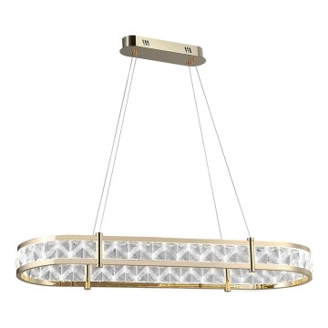 LED prigušiva kristalni luster na sajli ENRIQUE LED/50W//230V 3000-6000K + daljinski upravljač