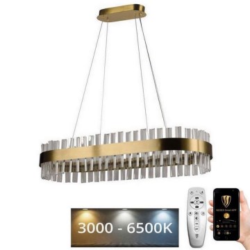 LED prigušiva kristalni luster na sajli LED/45W/230V 3000-6500K + daljinski upravljač