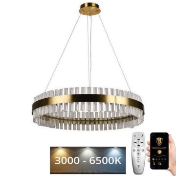 LED prigušiva kristalni luster na sajli LED/55W/230V 3000-6500K + daljinski upravljač