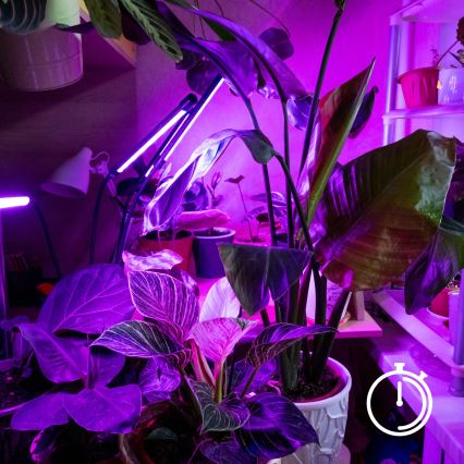 LED prigušiva fleksibilna stona lampa sa klipom za gajenje biljaka VITARO 3xLED/10W/230V crna