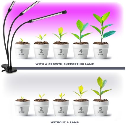 LED prigušiva fleksibilna stona lampa sa klipom za gajenje biljaka VITARO 3xLED/10W/230V crna