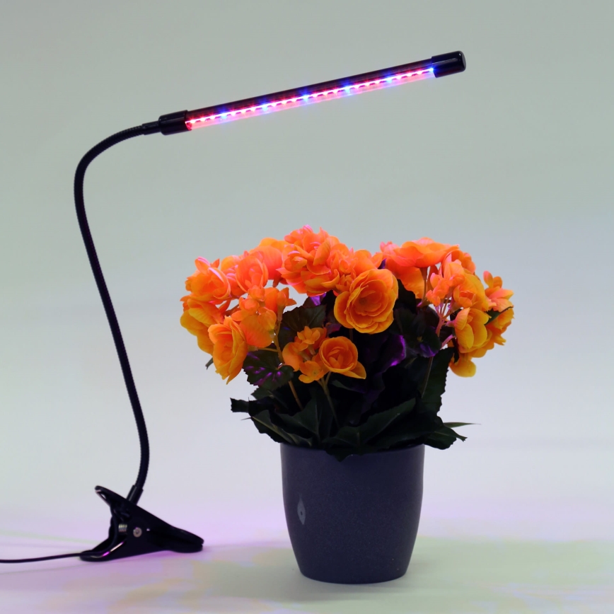 LED prigušiva lampa sa stezaljkom za osvetljenje biljaka LED/3W/230V crna