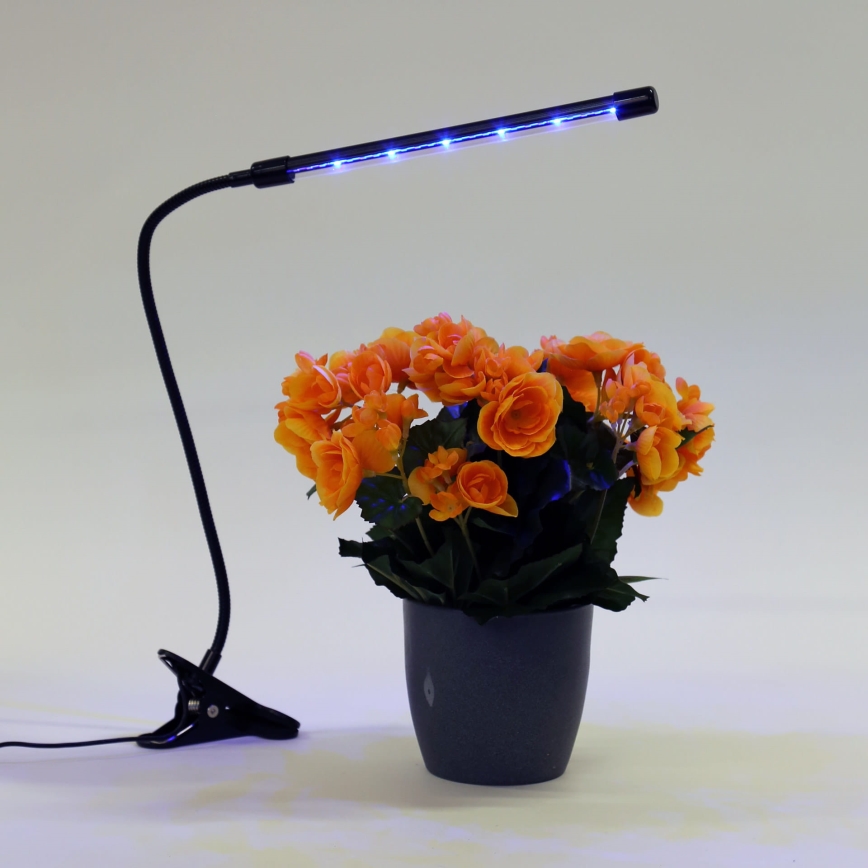 LED prigušiva lampa sa stezaljkom za osvetljenje biljaka LED/3W/230V crna