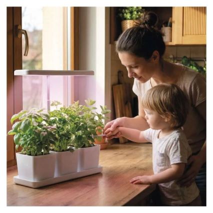 LED prigušiva lampa za unutrašnji uzgoj biljaka GROW LED/7W/5V