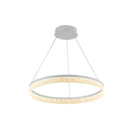 LED prigušiva luster na sajli ALIANZ LED/45W/230V 3000-6000K pr. 60 cm + daljinski upravljač