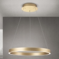 LED prigušiva luster na sajli KOLK LED/60W/230V 2700/3000/4000K prečnik 60 cm zlatna